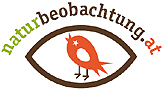 naturbeobachtung.at